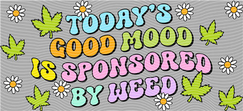 16oz Latest Bestseller-C 7931